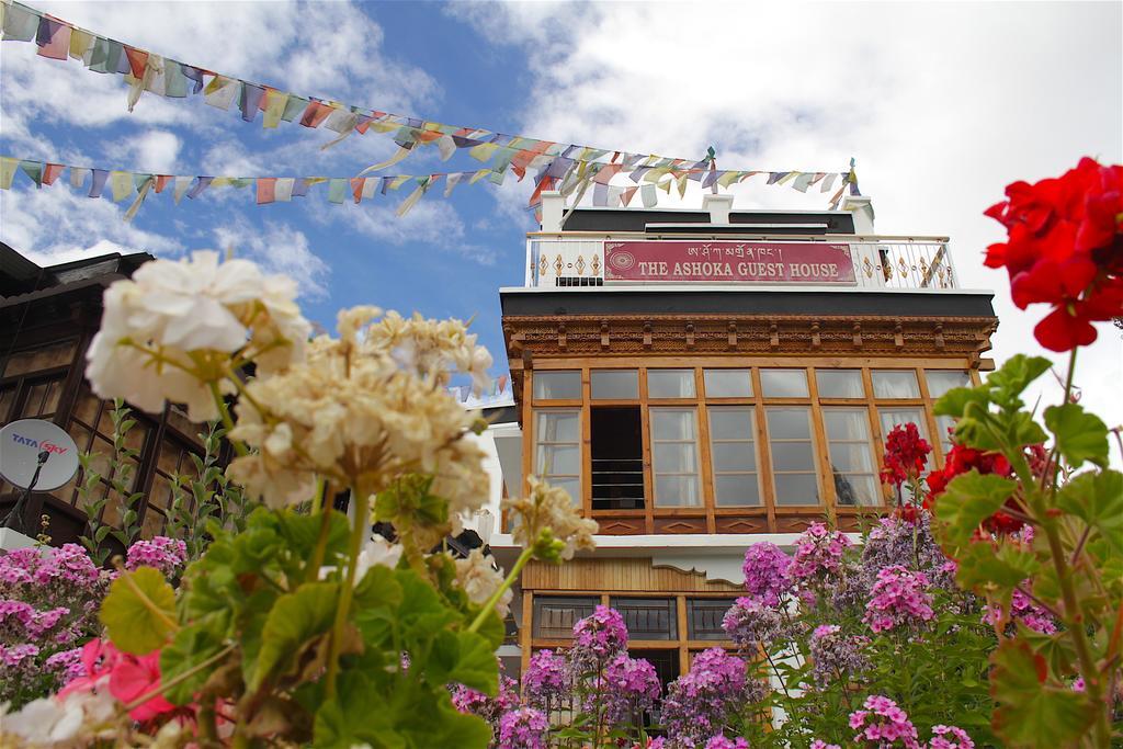 Ashoka Ladakh Hotel Leh Exterior photo